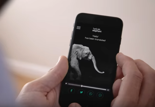 elephant app